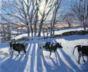 Friesian Cows、2009年